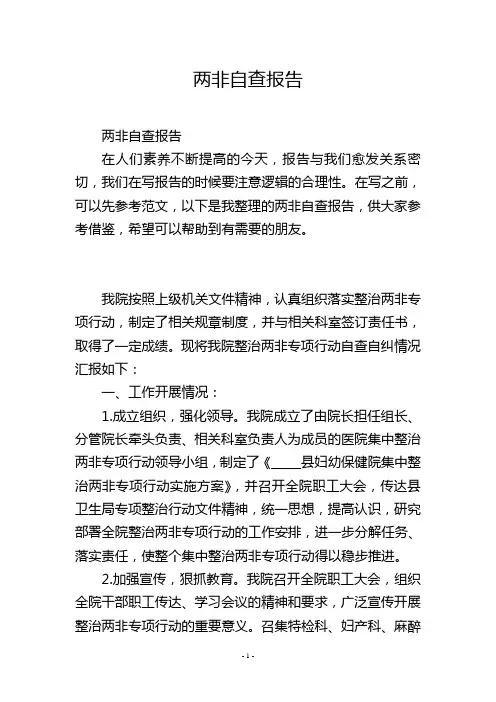 两非自查报告