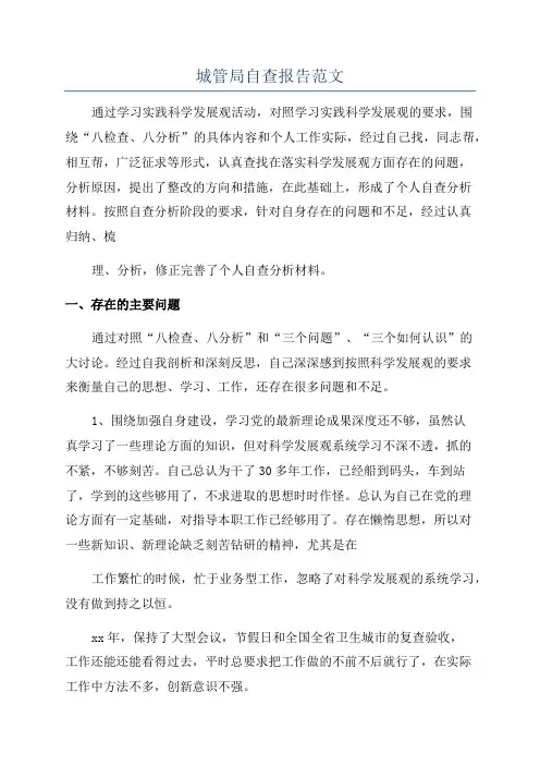 城管局自查报告范文