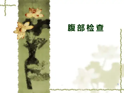 腹部检查PPT课件
