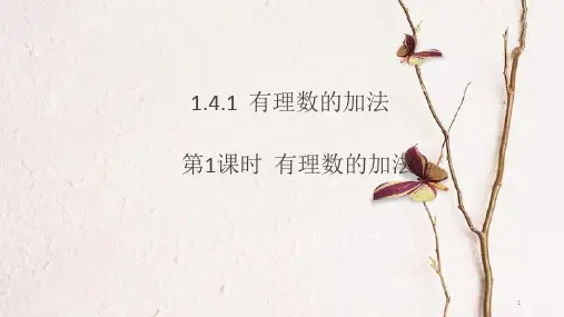 七年级数学上册 1.4 有理数的加法和减法 第1课时 有理数的加法课件 (新版)湘教版.pptx