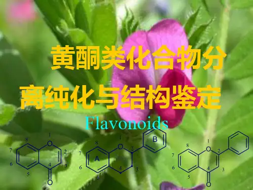 天然药物化学课件 黄酮类化合物的结构解析