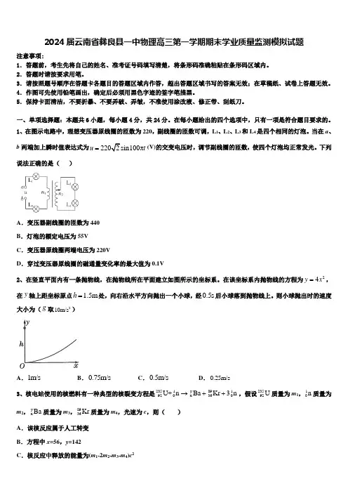 2024届云南省彝良县一中物理高三第一学期期末学业质量监测模拟试题含解析