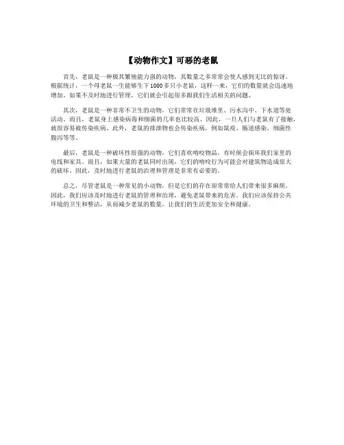 【动物作文】可恶的老鼠