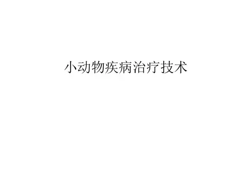 小动物疾病治疗技术讲课教案(75页)