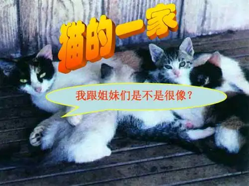 2015年新人教版八年级生物下册 第七单元_第二章_第一节_基因控制生物的性状