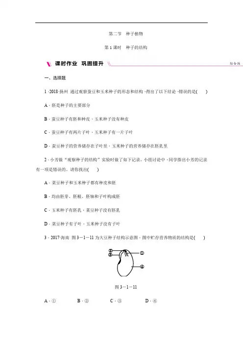 人教版生物七年级上册(课件)第1章 生物圈中有哪些绿色植物 2.1种子的结构