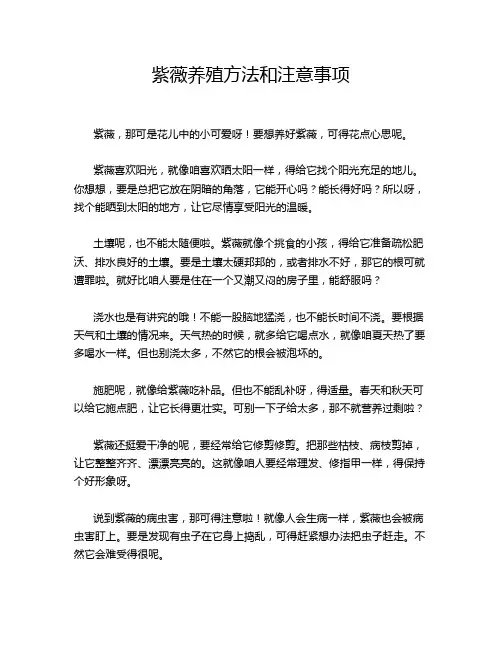 紫薇养殖方法和注意事项