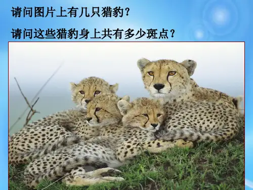 高中语文PPT课件《在桥边》   新讲课