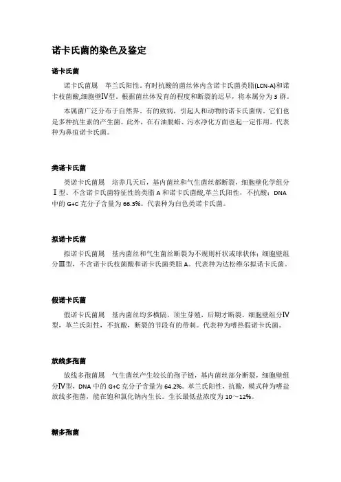 诺卡氏菌的染色及鉴定