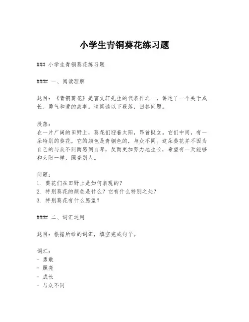 小学生青铜葵花练习题