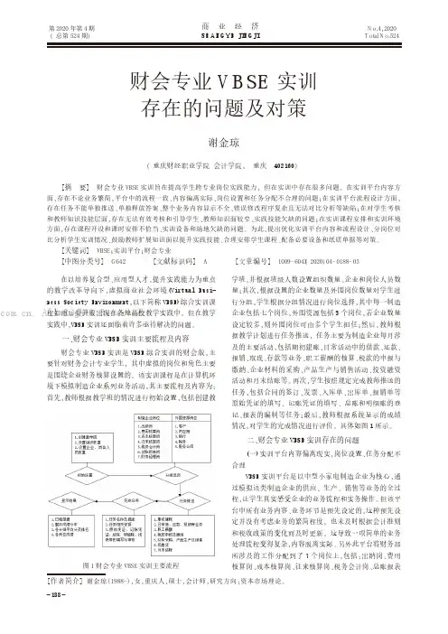 财会专业VBSE实训存在的问题及对策