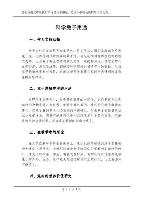 科学兔子用途