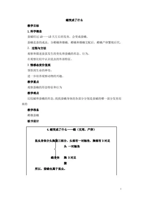 教科版小学科学三年级下册《蛹变成了什么》教学设计