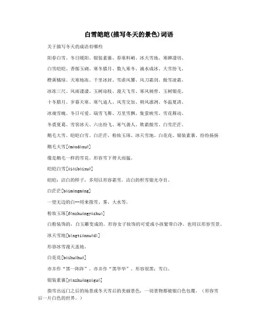 白雪皑皑(描写冬天的景色)词语