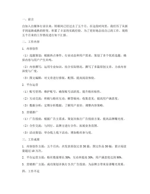 自媒体五个月工作总结报告