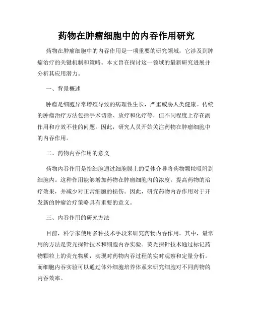 药物在肿瘤细胞中的内吞作用研究