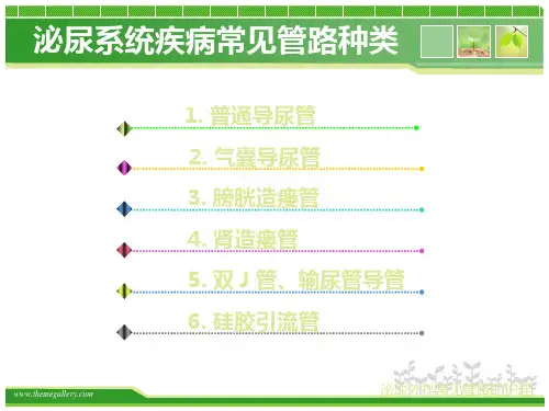 泌尿外科常见管路的护理精品PPT课件