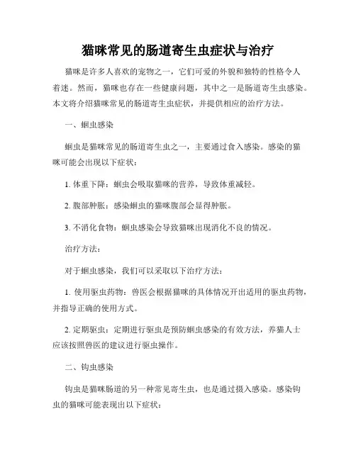 猫咪常见的肠道寄生虫症状与治疗