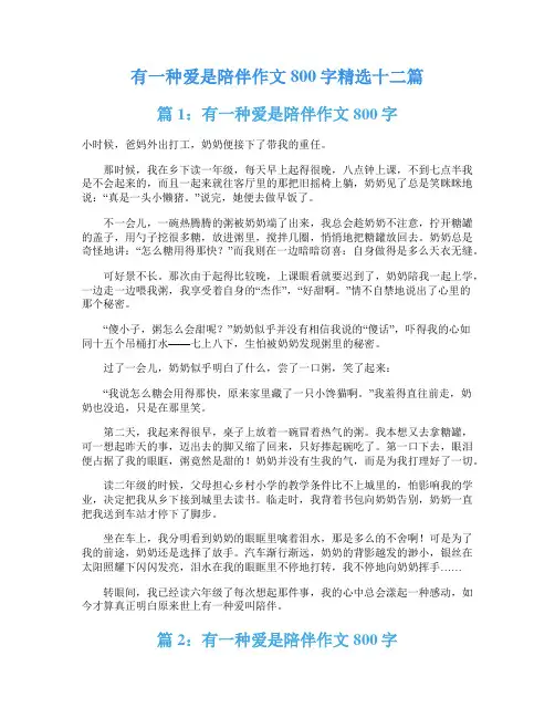 有一种爱是陪伴作文800字精选十二篇