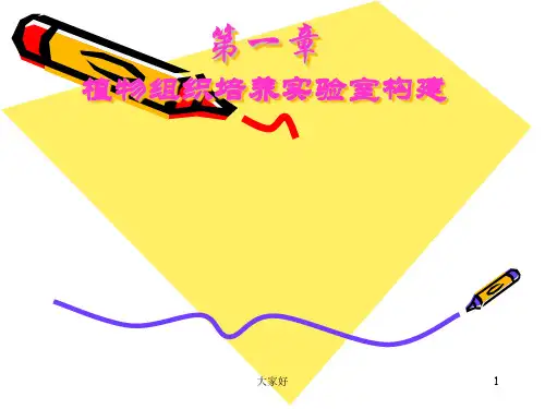 组培实验室的设计 PPT