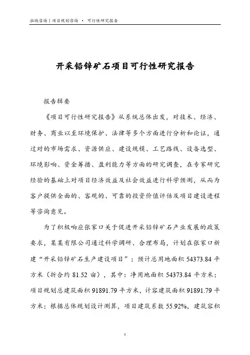 开采铅锌矿石项目可行性研究报告
