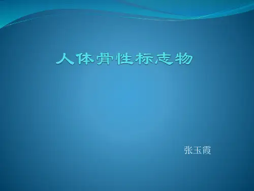体表骨性标志副本