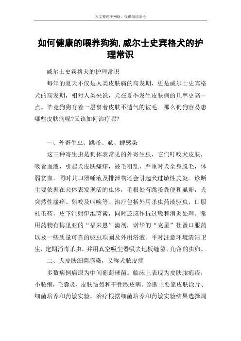 如何健康的喂养狗狗,威尔士史宾格犬的护理常识