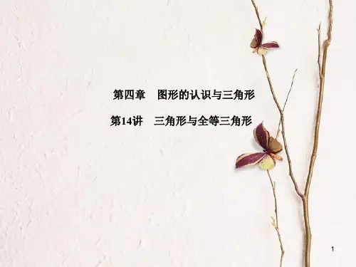 山东省滨州市中考数学复习 第四章 图形的认识与三角形 第14讲 三角形与全等三角形课件.pptx