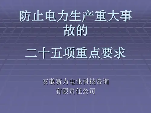 25项反措