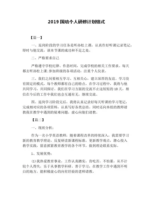 2019国培个人研修计划格式