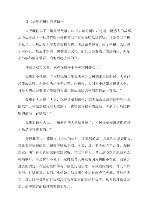 《去年的树》读后感350字作文