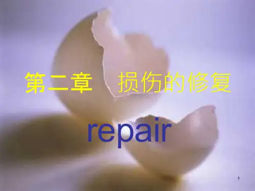 【病理学ppt课件】损伤的修复