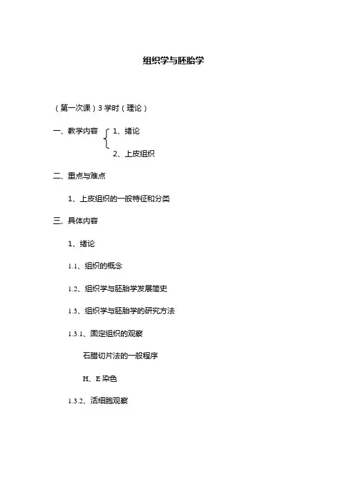 组织学与胚胎学讲义教案完整版
