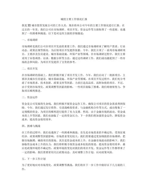 城投主要工作情况汇报