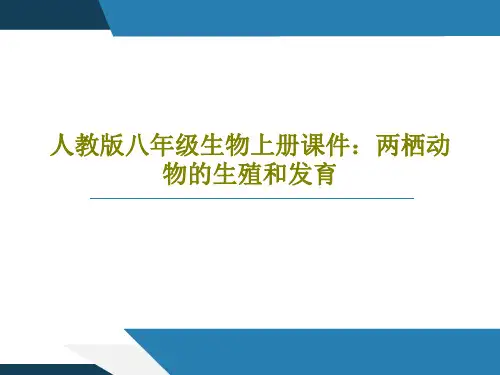 人教版八年级生物上册课件：两栖动物的生殖和发育20页PPT
