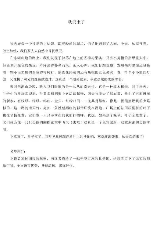 新人教部编版三年级语文上册《习作例文》优质教学设计