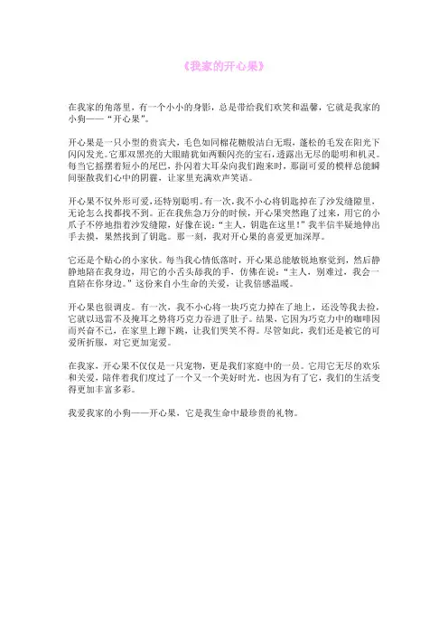 《我家的开心果》