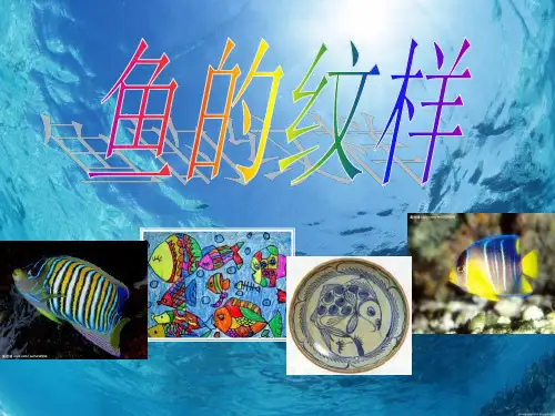 《鱼的纹样》PPT课件二