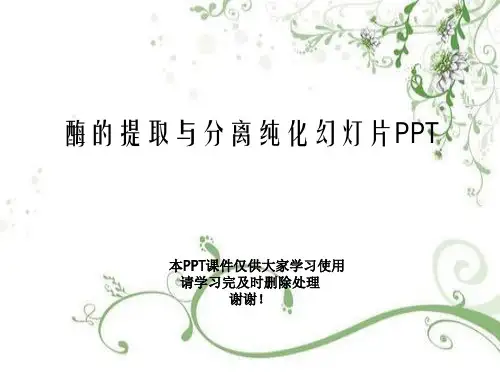 酶的提取与分离纯化幻灯片PPT
