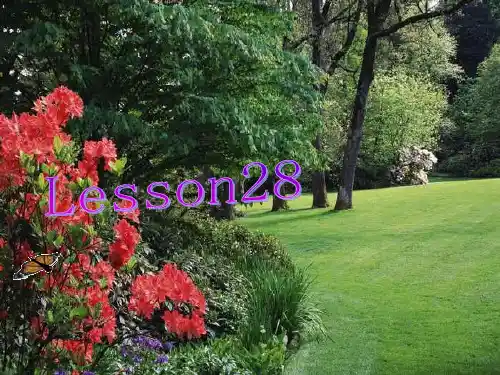 初二下英语冀教版课件lesson28