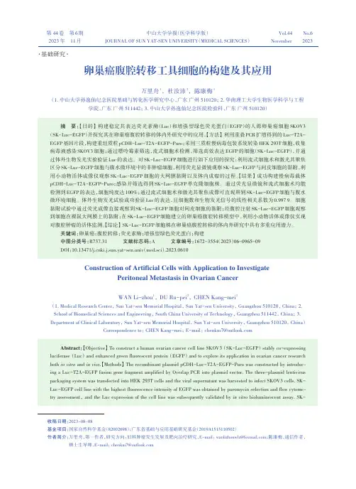 卵巢癌腹腔转移工具细胞的构建及其应用
