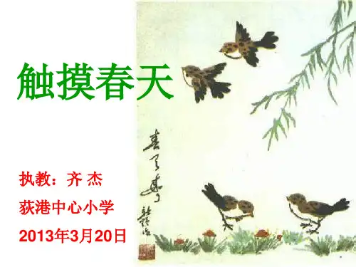 《触摸春天》ppt课件