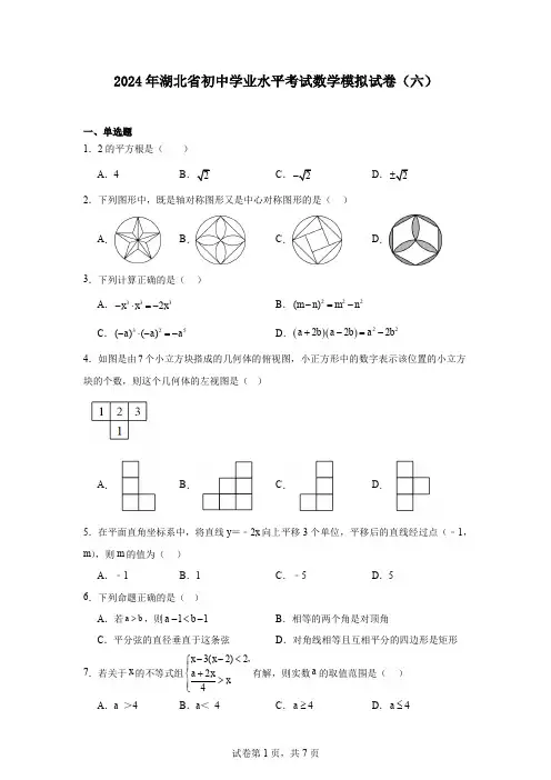 2024年湖北省初中学业水平考试数学模拟试卷(六)