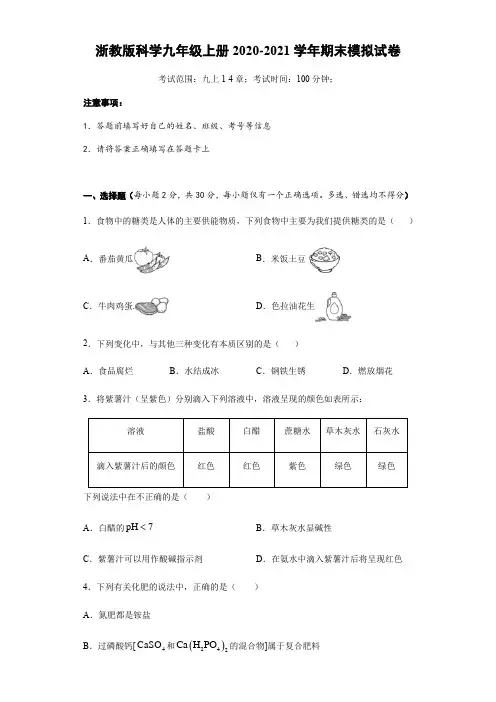 浙教版科学九年级上册期末测试卷八(含答案)