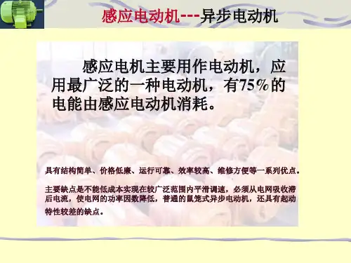 三相感应电动机基本知识分解