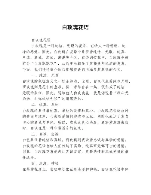 白玫瑰花语
