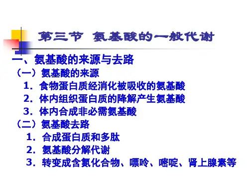 氨基酸的一般代谢