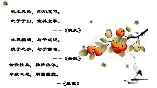《关雎》ppt课件
