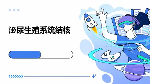 《泌尿生殖系统结核》课件