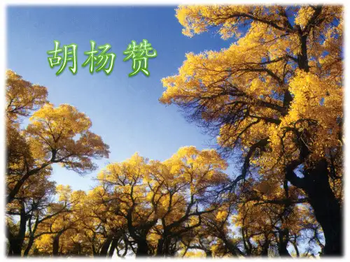 《胡杨赞》-完整版PPT课件